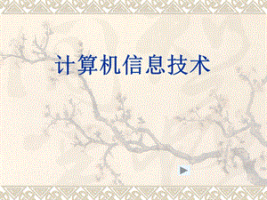 计算机信息技术(一).ppt