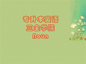 专升本英语名词部分.ppt