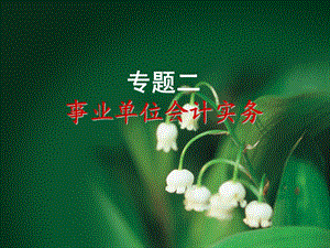 事业单位会计实务.ppt
