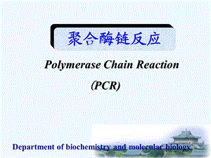 PCR(级研究生).ppt