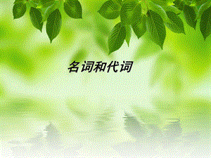 专升本名词和代词.ppt