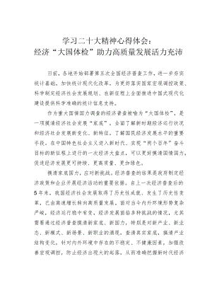学习二十大精神心得体会：经济“大国体检”助力高质量发展活力充沛.docx