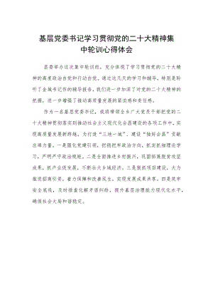 基层党委书记学习贯彻党的二十大精神集中轮训心得体会.docx