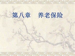 养老保险制度概述.ppt