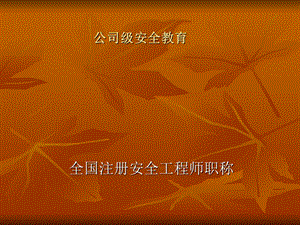全国注册安全工程师职称.ppt