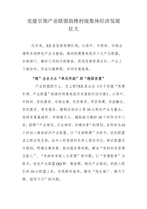 党建引领产业联盟 助推村级集体经济发展壮大.docx