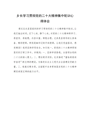 乡长学习贯彻党的二十大精神集中轮训心得体会.docx