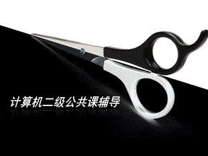 公共基础知识重点内容.ppt