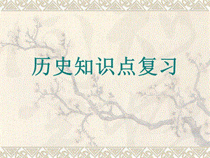 历史知识点复习.ppt