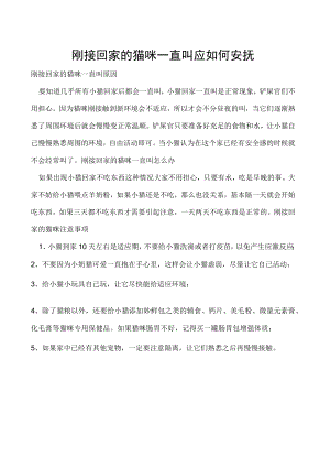 刚接回家的猫咪一直叫 应如何安抚.docx