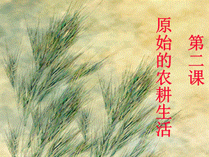 第二课原始的农耕生活l706精品教育.ppt