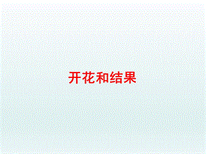 第五章第五节植物的开花和结果第2课时课件苏教版精品教育.ppt