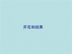 第五章第五节植物的开花和结果第1课时课件苏教版精品教育.ppt