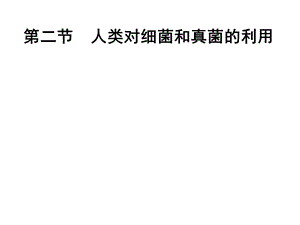 第二节人类对细菌和真菌的利用精品教育.ppt