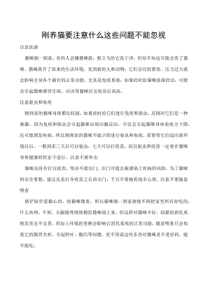 刚养猫要注意什么 这些问题不能忽视.docx
