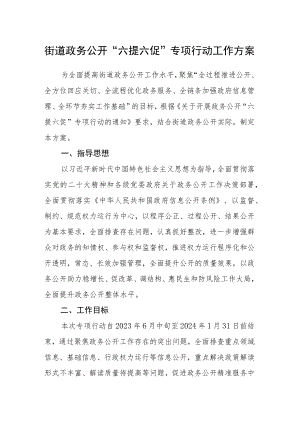 街道政务公开“六提六促”专项行动工作方案.docx