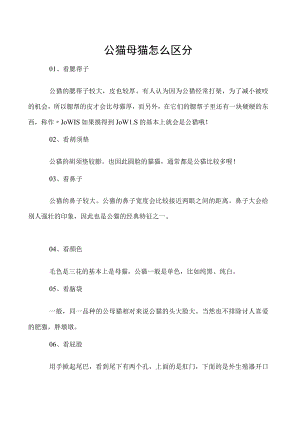 公猫母猫怎么区分.docx