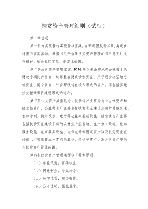 扶贫资产管理细则（试行）.docx