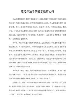 遵纪守法专项警示教育心得.docx