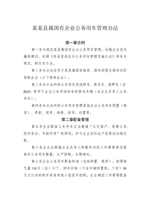 某某县属国有企业公务用车管理办法.docx
