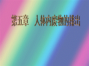 第五章人体内废物的排出精品教育.ppt