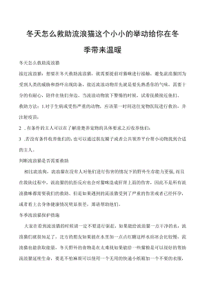 冬天怎么救助流浪猫 这个小小的举动给你在冬季带来温暖.docx