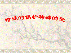 第八课　法律护我成长12精品教育.ppt