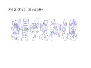 董娅贤测量呼吸和心跳课件精品教育.ppt