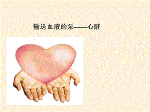 第四章输送血液的泵心脏精品教育.ppt
