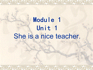 第四册Lesson1第一课时精品教育.ppt