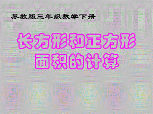 第四课时面积的计算精品教育.ppt