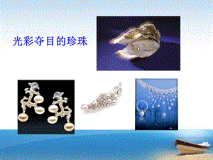 课件圆圆的沙粒精品教育.ppt