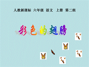 课件彩色的翅膀精品教育.ppt