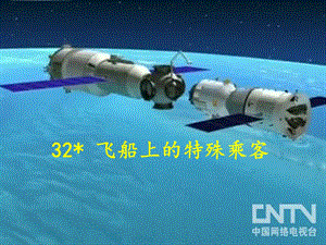 飞船上的特殊乘客(完美版)精品教育.ppt