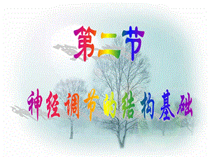 神经调节的结构基础.ppt