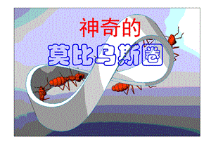 神奇的姆比乌斯带课件.ppt