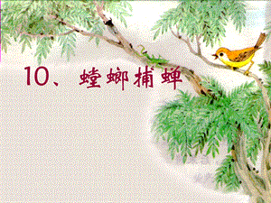 课件：螳螂捕蝉PPT2精品教育.ppt