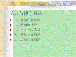 神经系统解剖学.ppt