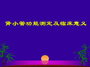 肾小管功能测定及临床意义.ppt
