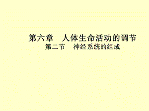 神经系统的组成.ppt