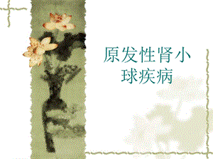 肾小球疾病诊疗技巧.ppt