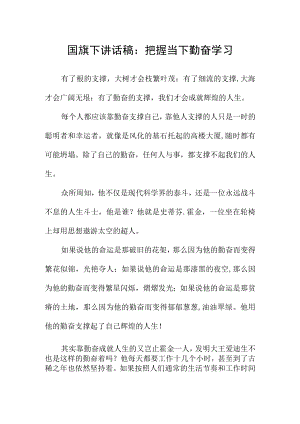 国旗下讲话稿：把握当下 勤奋学习.docx