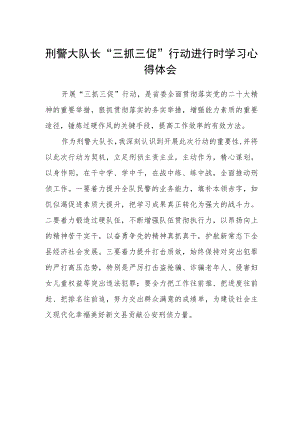 刑警大队长“三抓三促”行动进行时学习心得体会.docx