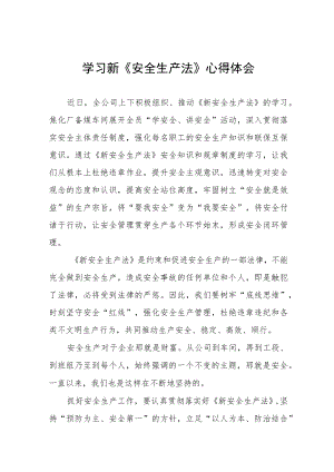 应急管理学习《安全生产法》心得感悟10篇.docx