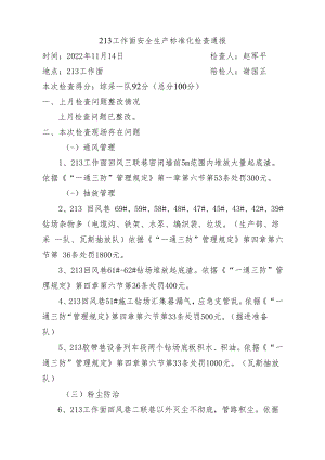 通风部 213工作面标准化检查问题11月14日.docx