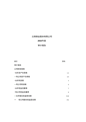 云南铜业：2022年年度审计报告.docx