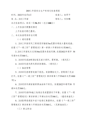 通风部 213工作面标准化检查问题12月6日.docx