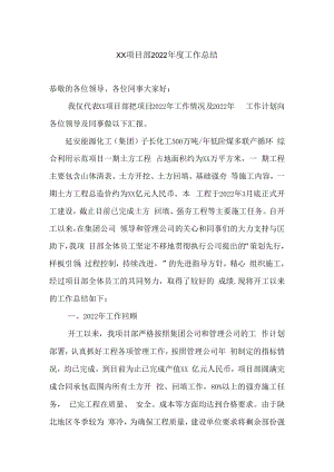 项目经理年度工作总结.docx
