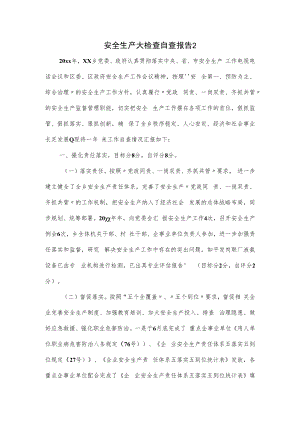 安全生产大检查自查报告.docx