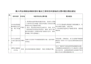 第六评议调查组调查的部分重点工程项目所面临的主要问题及整改建议.docx